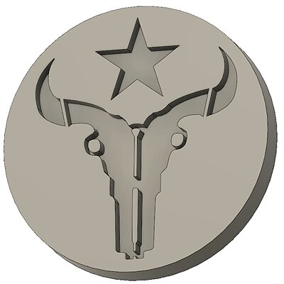 Houston Outlaws Coin