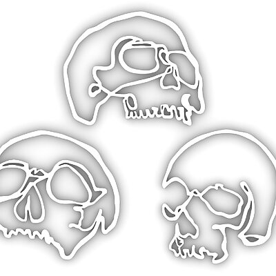 3 Skulls