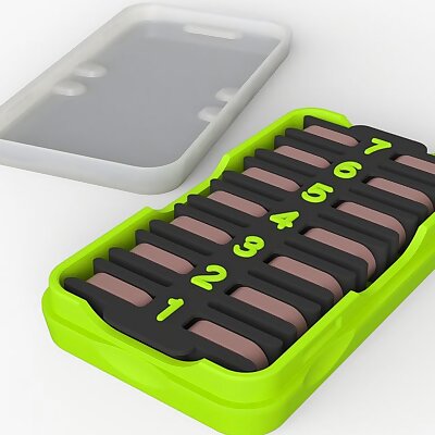 Pill Case with 77 Holder Insert