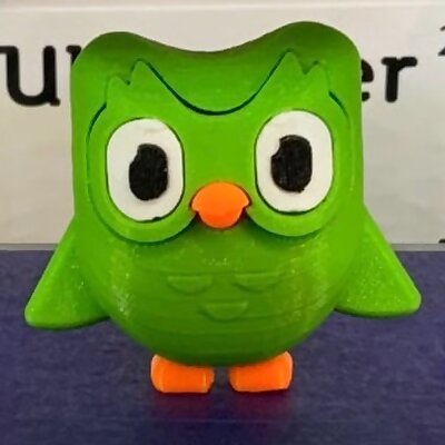 Duo Owl from Duolingo App