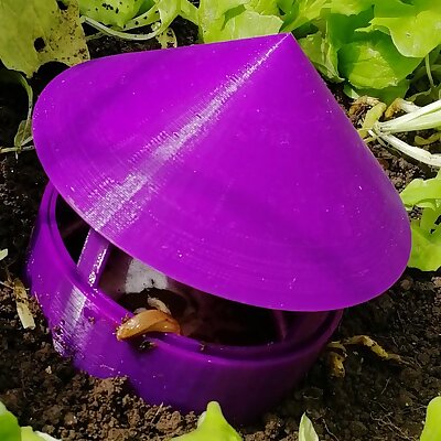 Snail and slug trap