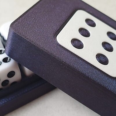 Dice Case with Magnetic Lid