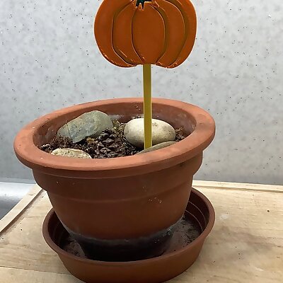 Pumpkin tag dýně