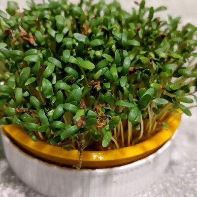 Cress sieve Nutella Cover