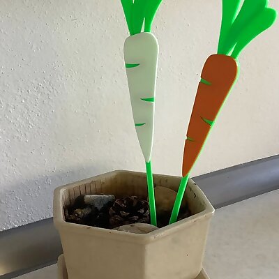 Carrotparsleyroot tag mrkevpetržel