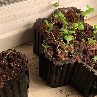 Interlocking Hexagonal Seedling Planters