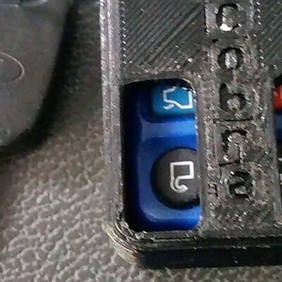 Mustang Cobra keyfob cover