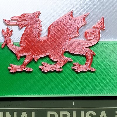 Welsh Dragon  and flag!