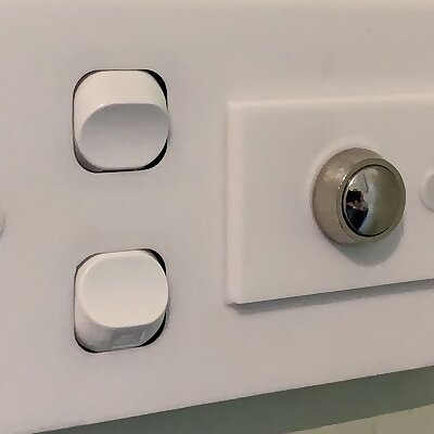 Switch Wall Plate  Double Plus Push Button