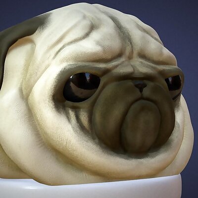 Pug bust 3d sculpt  high res and low poly