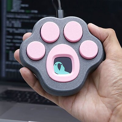 Kitty Paw Keypad with Color TFT