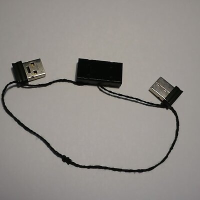 USB double lid  SSD Raid 1