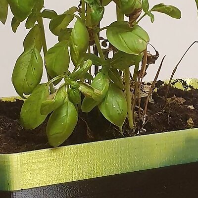 Selfwatering rectangular planter with clipping syphon