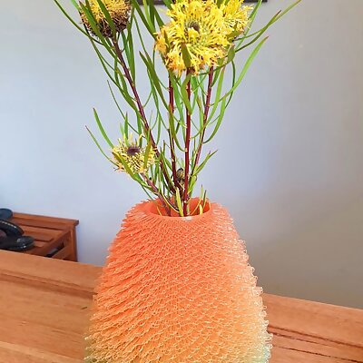 Fuzzy Vase
