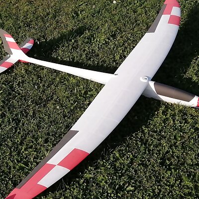 Lukisegler electric RC glider