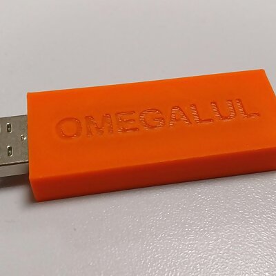 Configurable USB drive case
