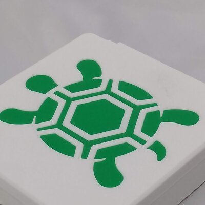 Turtle Inlay Box