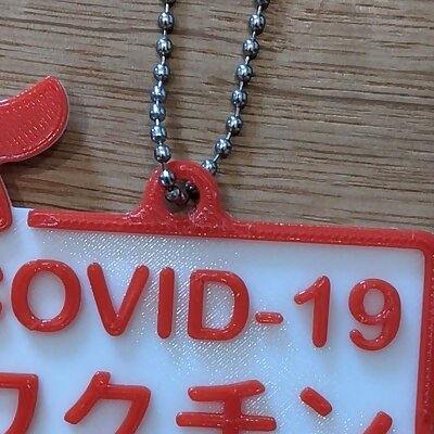 COVID19 vaccinated key holder with aka beko
