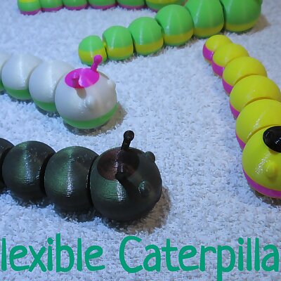 🟦Flexible Caterpillar