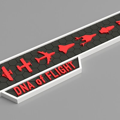 DNA of Flight