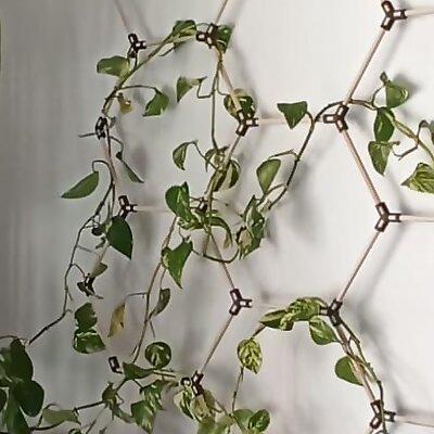 Living wall support for trailing plant