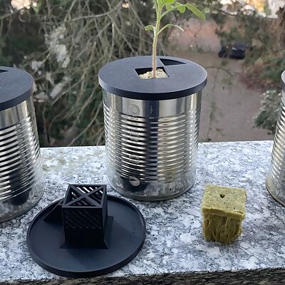 Deep water Hydroponics in recycled tins