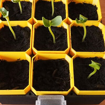 Small SelfWatering Seed Starter