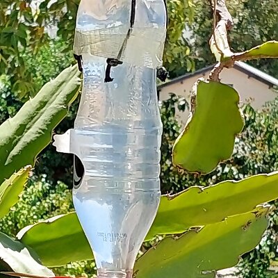 hummingbird feeder