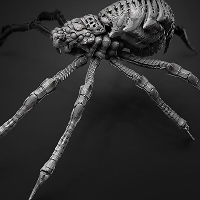 Hell Arachnid