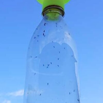 Fruit Fly Trap for Soda Bottle