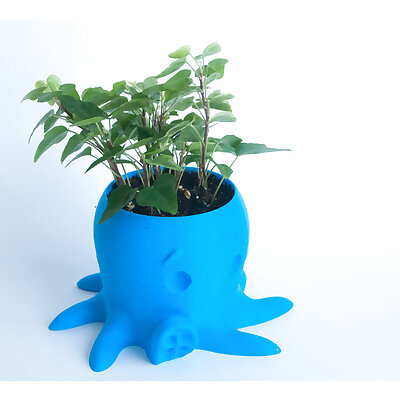 Octopus Planter