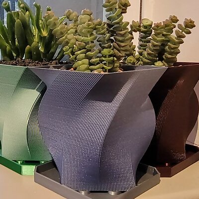 Planter Pot 1 with Drainage for Succulents and Other Small Plants 4