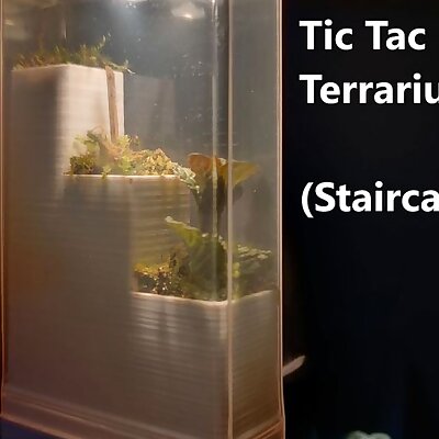 Tic Tac Nano Terrarium