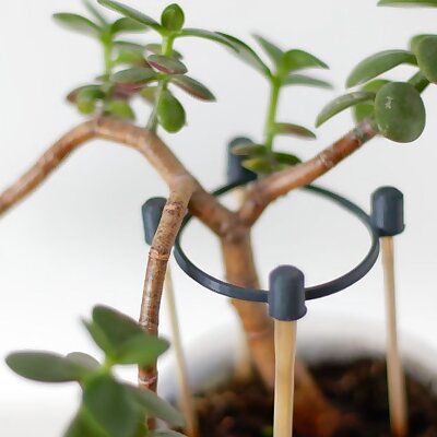Flower supports with sushi chopsticks