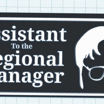 Assistant to the Regional Manager