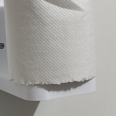 Wall Mount paper towel