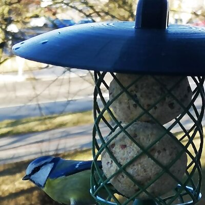 Krmítko pro ptáky na lojové koule bird feeder
