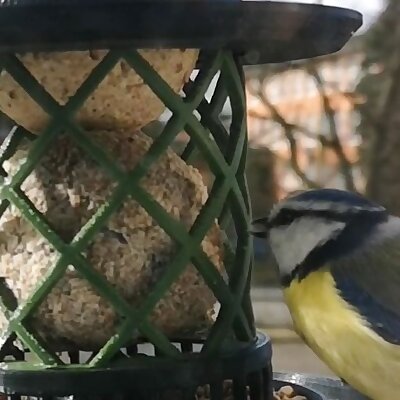 Krmítko pro ptáky na zrní a dvě lojové koule bird feeder