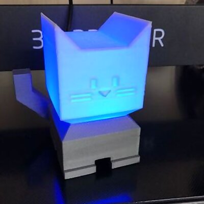 Illumination Cat