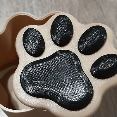 Dog Paw Box  Container