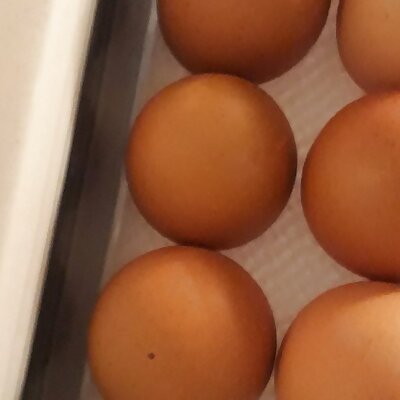 Parametric Egg Tray for AEG fridge
