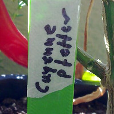 Plant Label Holder