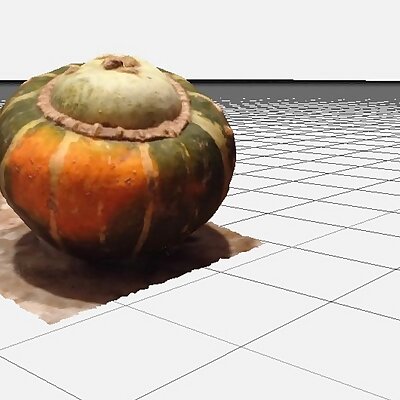 Photogrammetry gourd
