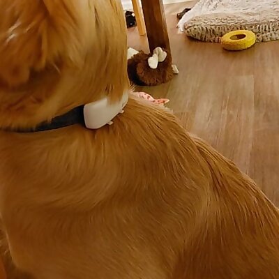 A Clip For The Tractive GPS For Dogs