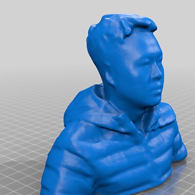 Bust toy（generated by Revopoint POP）