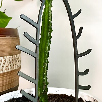 Cactus  plant support