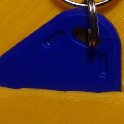 RFID keychain holderreader