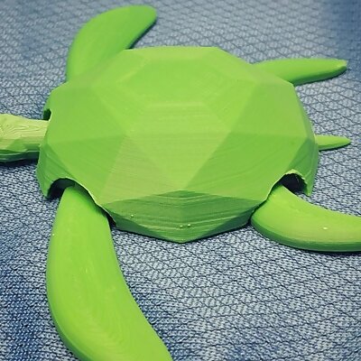 Flexi Sea Turtle