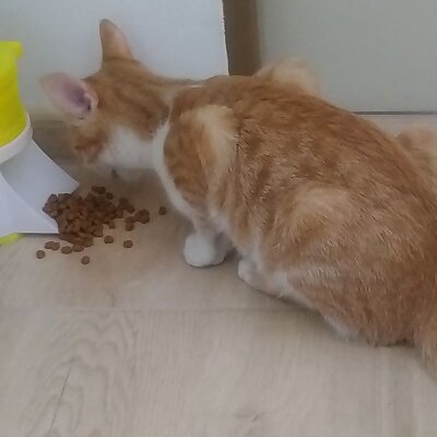 Small cat feeder