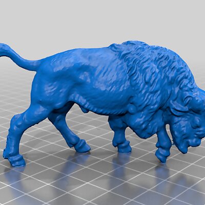 Buffalo 3D Scan
